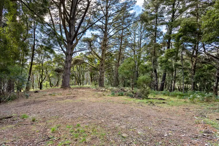 Fifth view of Homely land listing, CA 9-13 Lerderderg Road, Blackwood VIC 3458