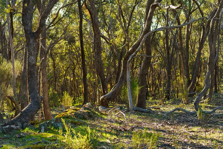 Third view of Homely rural property listing, Lot 2/252 Kemps Bridge Road, Guildford VIC 3451
