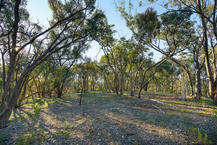 Seventh view of Homely rural property listing, Lot 2/252 Kemps Bridge Road, Guildford VIC 3451