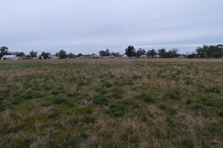 Main view of Homely rural property listing, Lots 23&24 Butt Street, Korong Vale VIC 3520