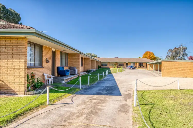 Main view of Homely unit listing, 1/604 Prune Street, Lavington NSW 2641