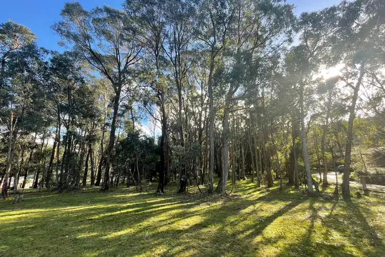 LOT 67, 153 Dales Creek Avenue, Dales Creek VIC 3341