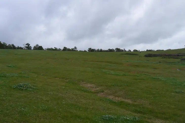 Third view of Homely rural property listing, 32 Eastman Road, Thomson Brook WA 6239