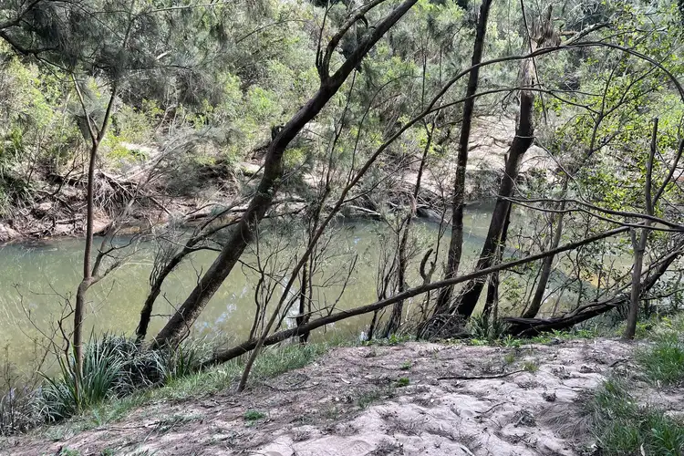 Fifth view of Homely rural property listing, 306 Orara Road, Lanitza NSW 2460