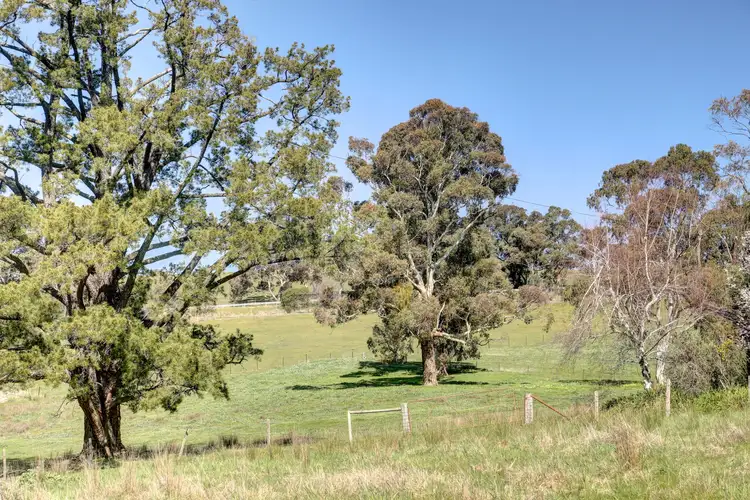 Sixth view of Homely rural property listing, 34 Ironbank Road, Upper Sturt SA 5156