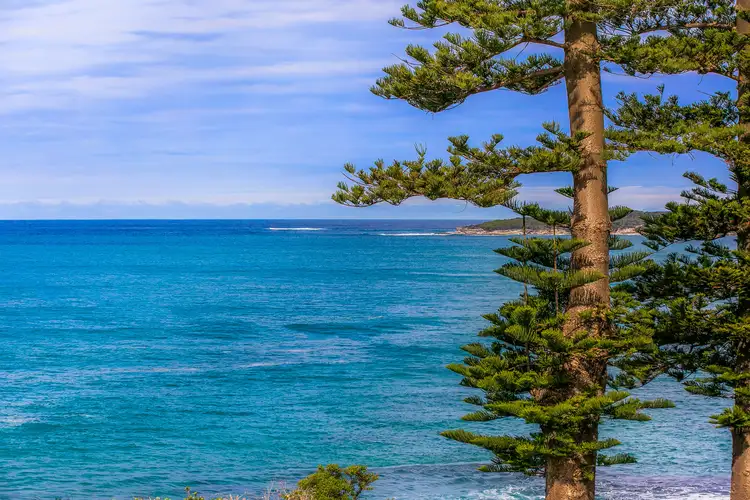 11/35 The Esplanade, Cronulla NSW 2230