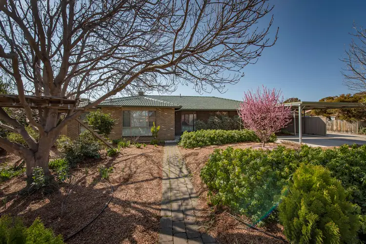 Main view of Homely house listing, 19 Forwood Street, Monash ACT 2904