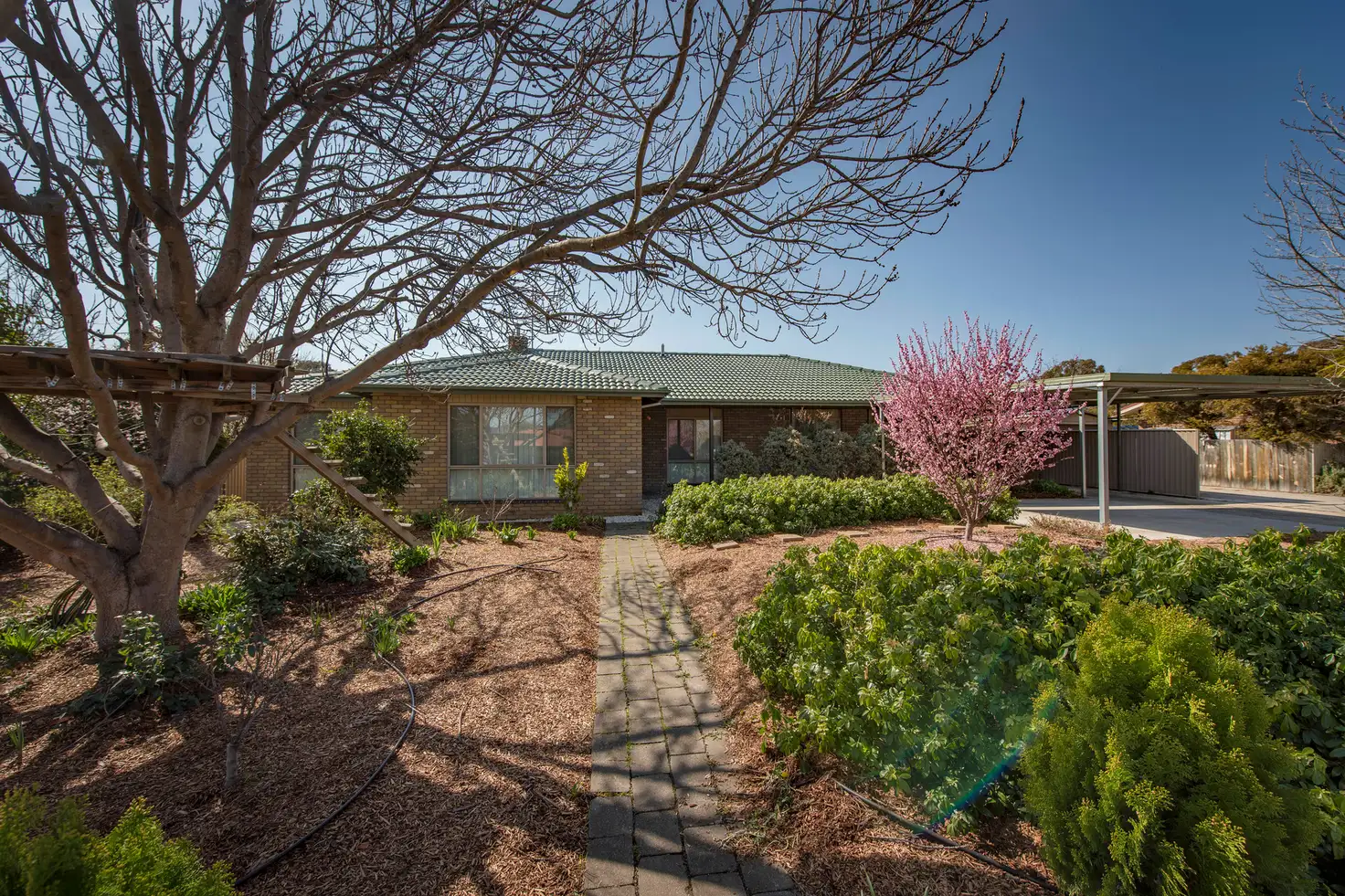 Main view of Homely house listing, 19 Forwood Street, Monash ACT 2904