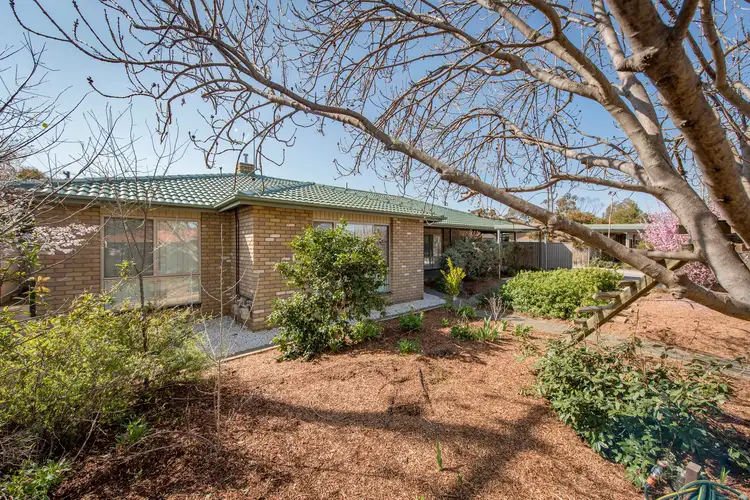 Second view of Homely house listing, 19 Forwood Street, Monash ACT 2904