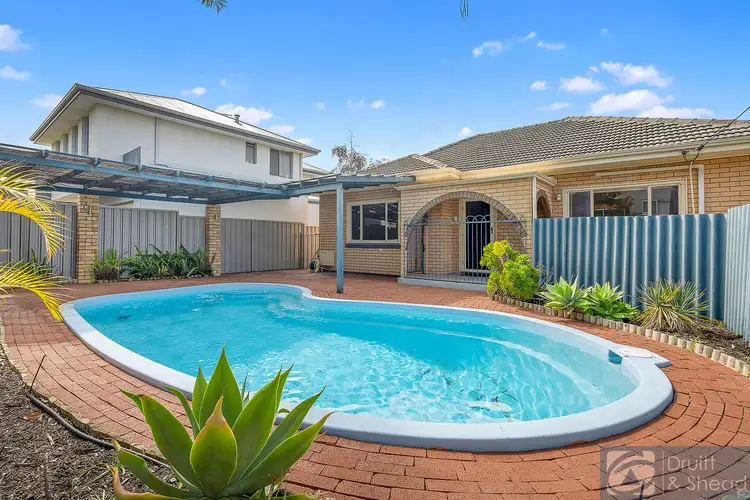 164 Ravenscar Street, Doubleview WA 6018