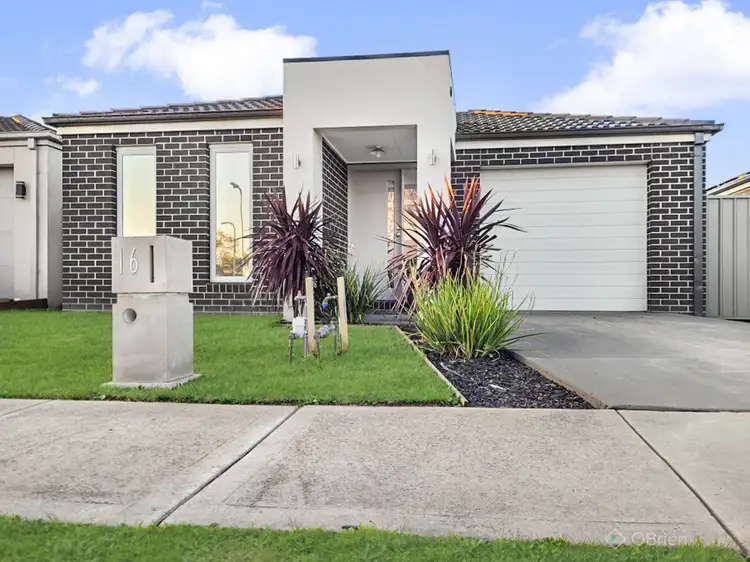 Main view of Homely house listing, 16 Yellow Robin Circuit, Cranbourne East VIC 3977