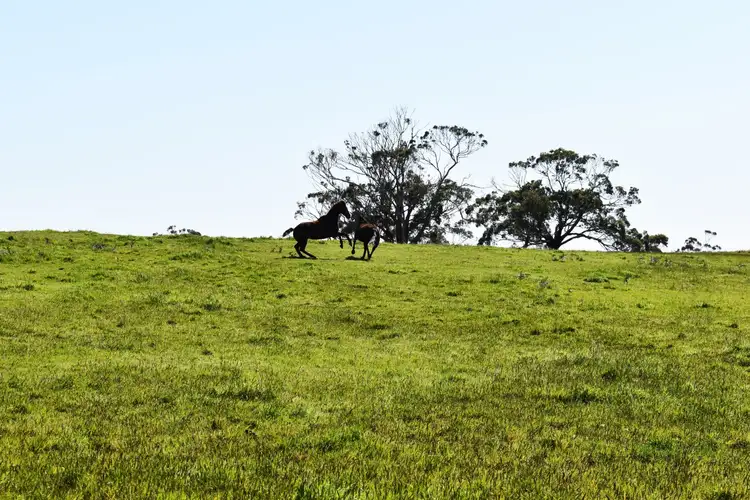 Fifth view of Homely rural property listing, LOT 2 Robertsons Road, Bolwarra VIC 3305