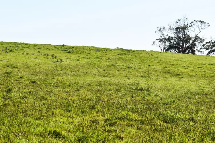 Sixth view of Homely rural property listing, LOT 2 Robertsons Road, Bolwarra VIC 3305