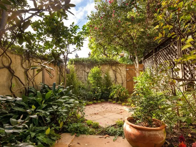 4 Bellevue Avenue, Paddington NSW 2021