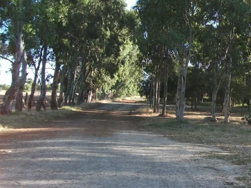 Main view of Homely land listing, 162 Haines Road, Baldivis WA 6171