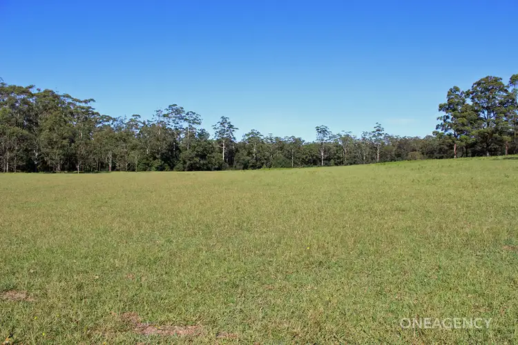 Fifth view of Homely rural property listing, Lot 30 Chain O Ponds Road, Collombatti NSW 2440