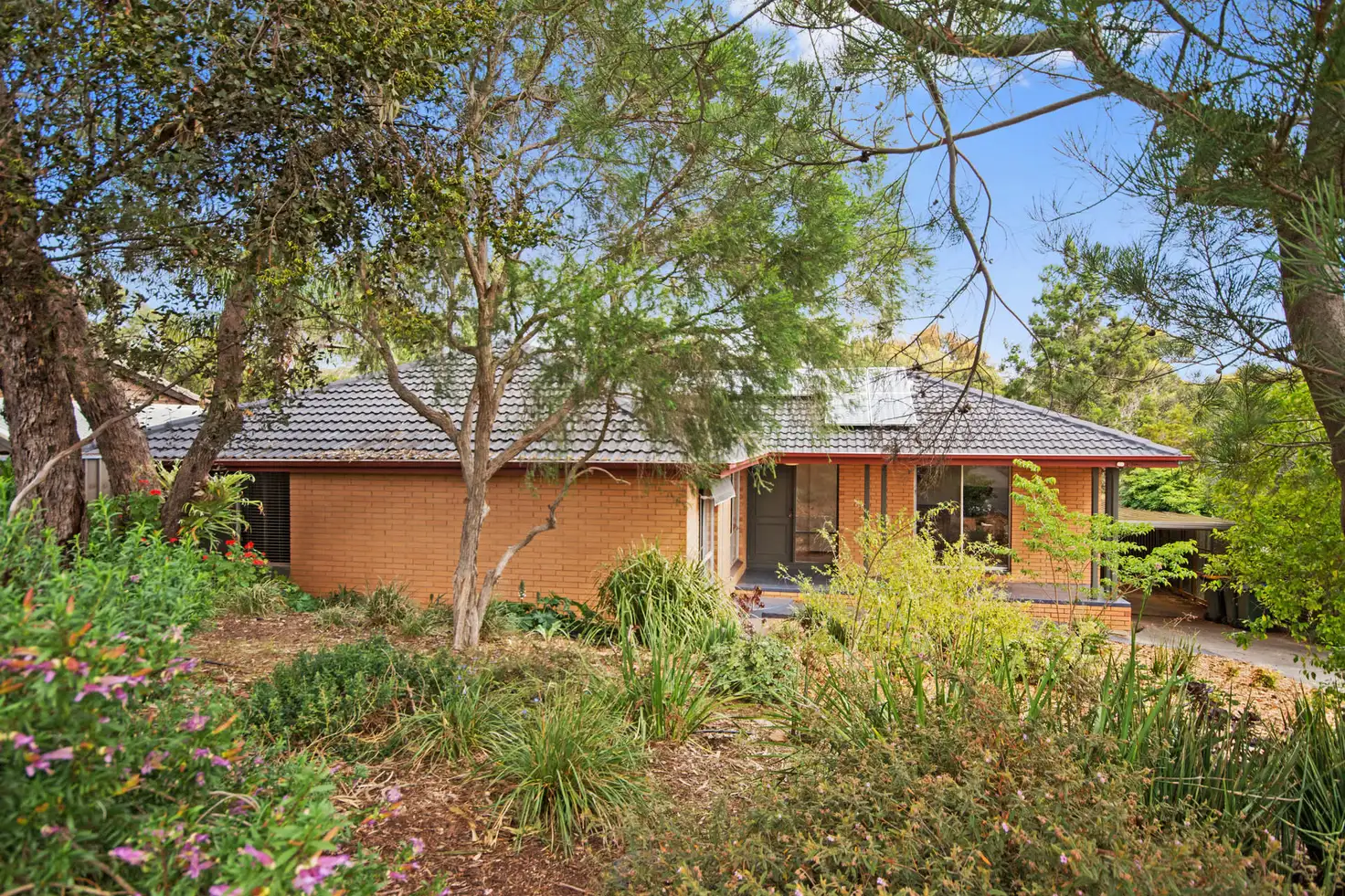 Main view of Homely house listing, 15 Ellis Avenue, Eden Hills SA 5050