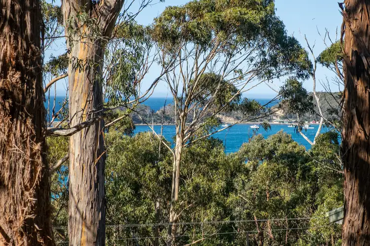 142 Blowhole Road, Eaglehawk Neck TAS 7179