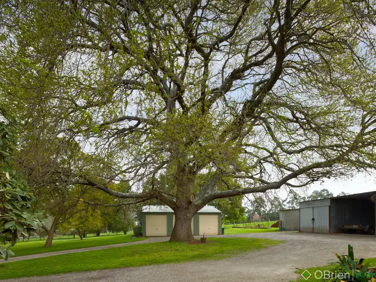 Third view of Homely rural property listing, 398 Briggs Road, Nilma North VIC 3821