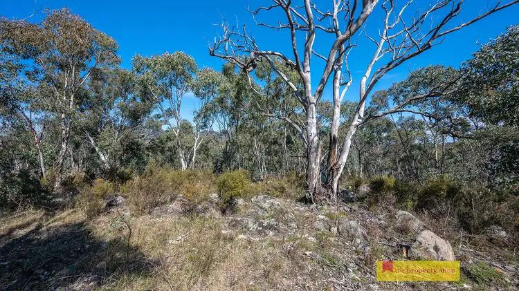 Sixth view of Homely rural property listing, 19 Browne Street, Windeyer NSW 2850