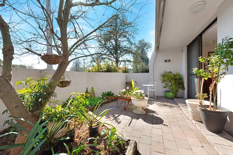 Main view of Homely apartment listing, 107/10 Currie Crescent, Griffith ACT 2603