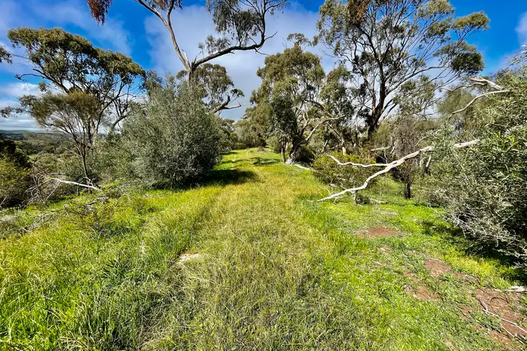 Sixth view of Homely land listing, LOT 16 Craig Hill Road, Stanley Flat SA 5453