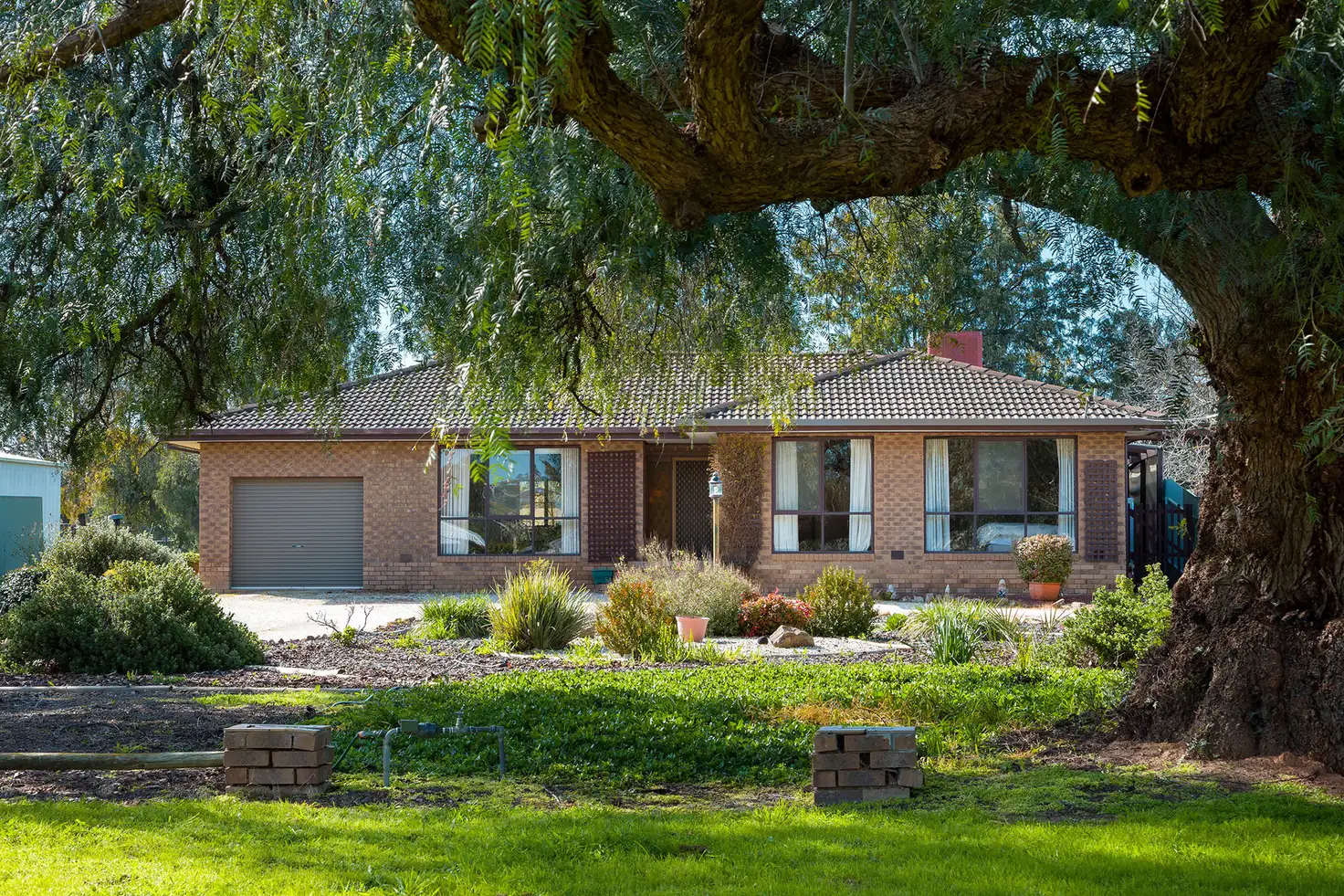 Main view of Homely house listing, 11 Clarke Street West, Howlong NSW 2643