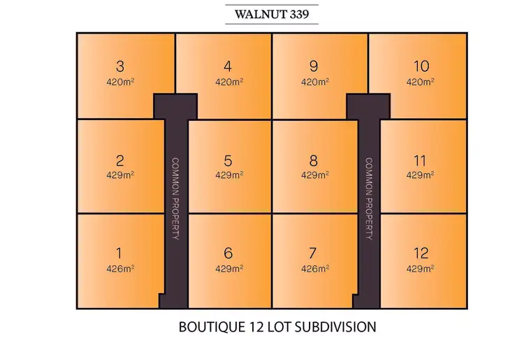 Second view of Homely land listing, LOT 1-12, 339 Walnut Avenue, Mildura VIC 3500