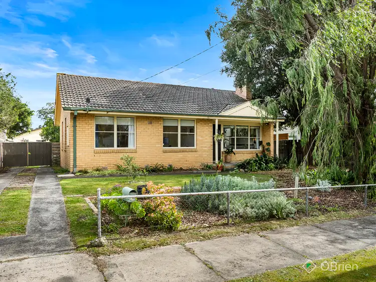 16 Longleaf Street, Frankston North VIC 3200