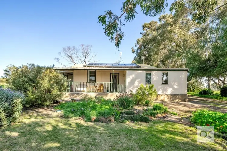 97 Douglas Gully Road, Mclaren Flat SA 5171