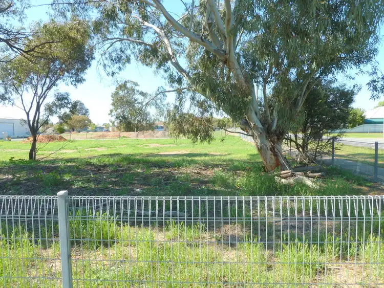 Fifth view of Homely rural property listing, Lot A Cnr Donald & Halliday Street, Charlton VIC 3525