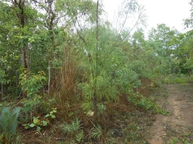 Fourth view of Homely land listing, Address available on request