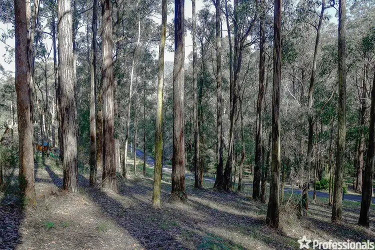 Main view of Homely land listing, Lot 157 Fisherman Drive, Reefton VIC 3799