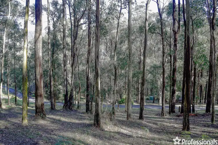 Fourth view of Homely land listing, Lot 157 Fisherman Drive, Reefton VIC 3799