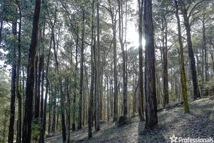 Seventh view of Homely land listing, Lot 157 Fisherman Drive, Reefton VIC 3799