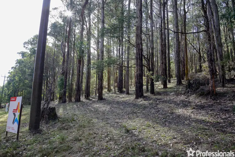 Main view of Homely land listing, Lot 159 & Fisherman Drive, Reefton VIC 3799