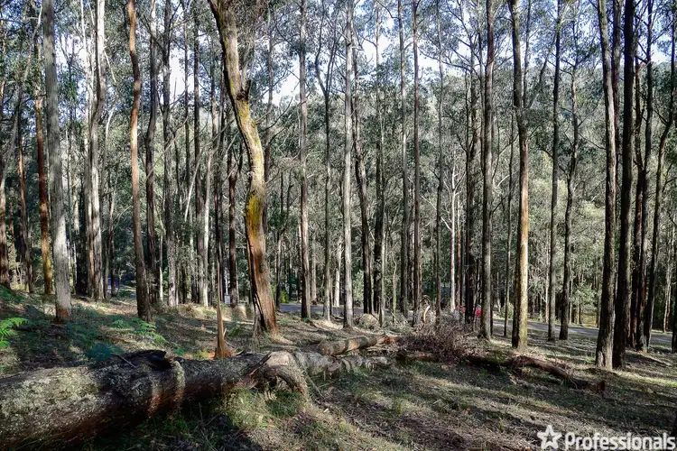 Second view of Homely land listing, Lot 159 & Fisherman Drive, Reefton VIC 3799