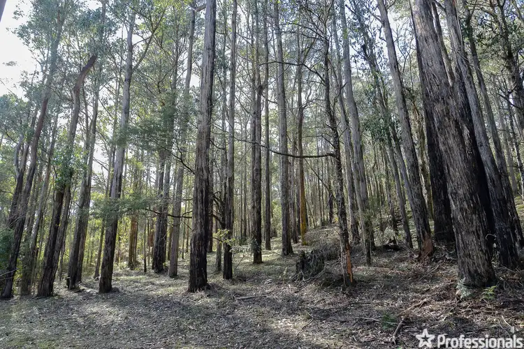 Third view of Homely land listing, Lot 159 & Fisherman Drive, Reefton VIC 3799
