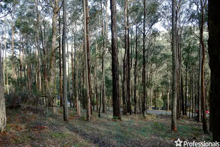 Fourth view of Homely land listing, Lot 159 & Fisherman Drive, Reefton VIC 3799