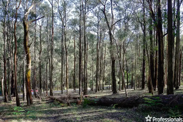 Fifth view of Homely land listing, Lot 159 & Fisherman Drive, Reefton VIC 3799