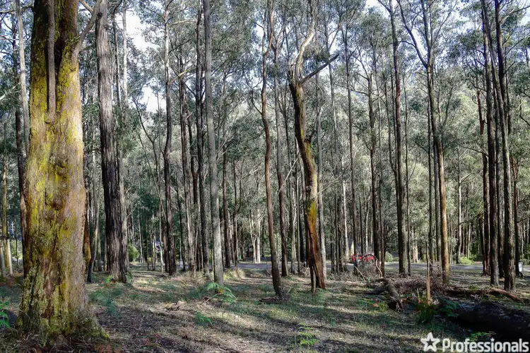 Sixth view of Homely land listing, Lot 159 & Fisherman Drive, Reefton VIC 3799