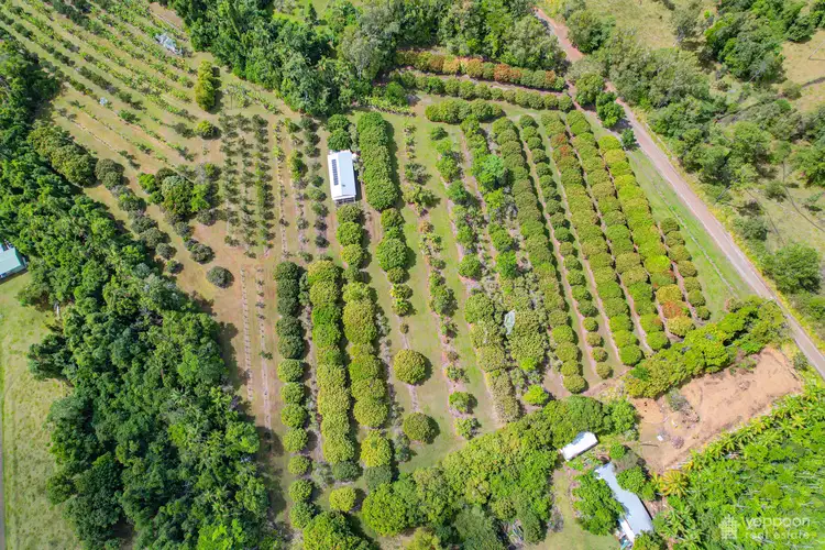 Second view of Homely rural property listing, Lot 2 Flanders Road, Byfield QLD 4703