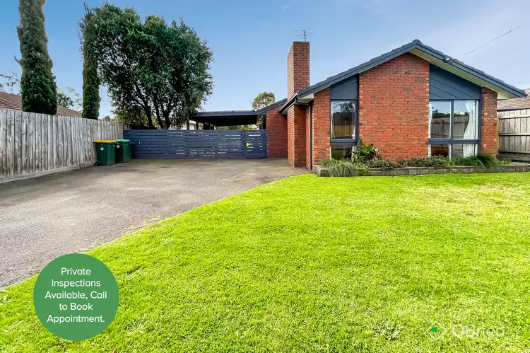 Main view of Homely house listing, 169 Ballarto Road, Carrum Downs VIC 3201