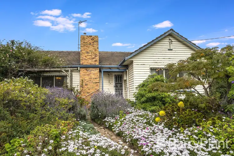 Third view of Homely house listing, 9 Victoria Terrace, Belmont VIC 3216