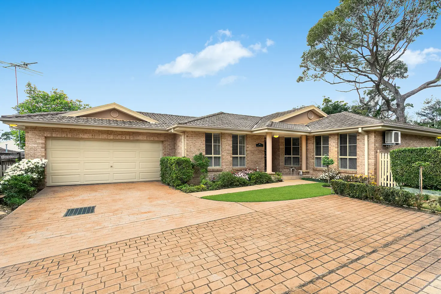 Main view of Homely house listing, 19a Rosamond Street, Hornsby NSW 2077