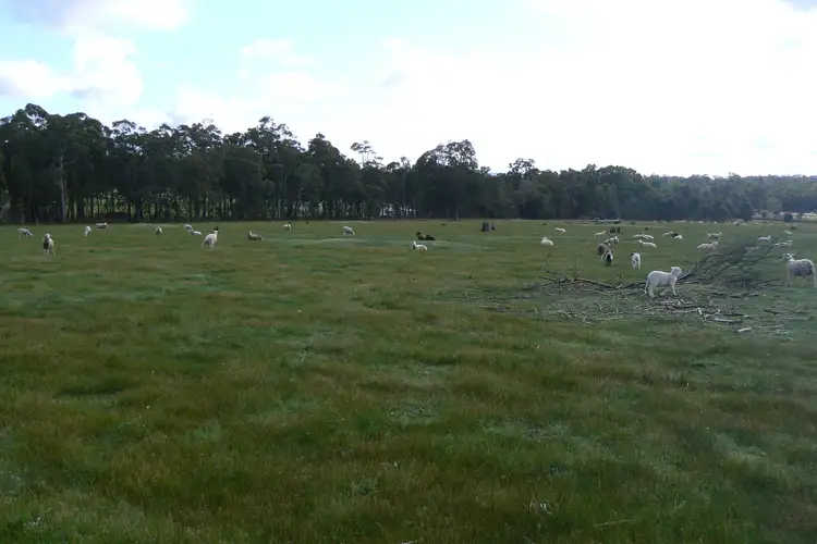 Third view of Homely rural property listing, 134 Brookhampton Road, Brookhampton WA 6239