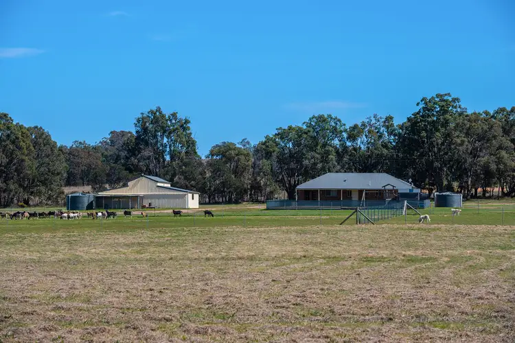 Second view of Homely rural property listing, 182 Drip Lane, Mudgee NSW 2850