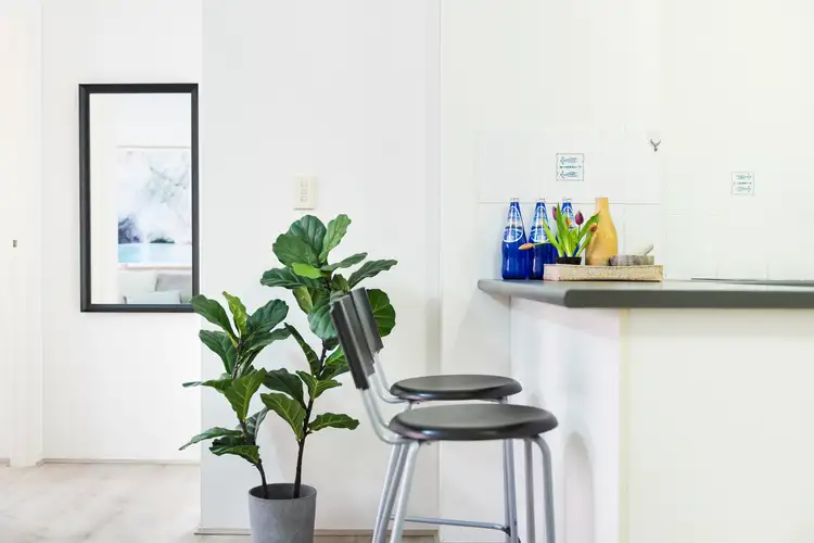 Third view of Homely apartment listing, S505/231-241 Harris Street, Pyrmont NSW 2009