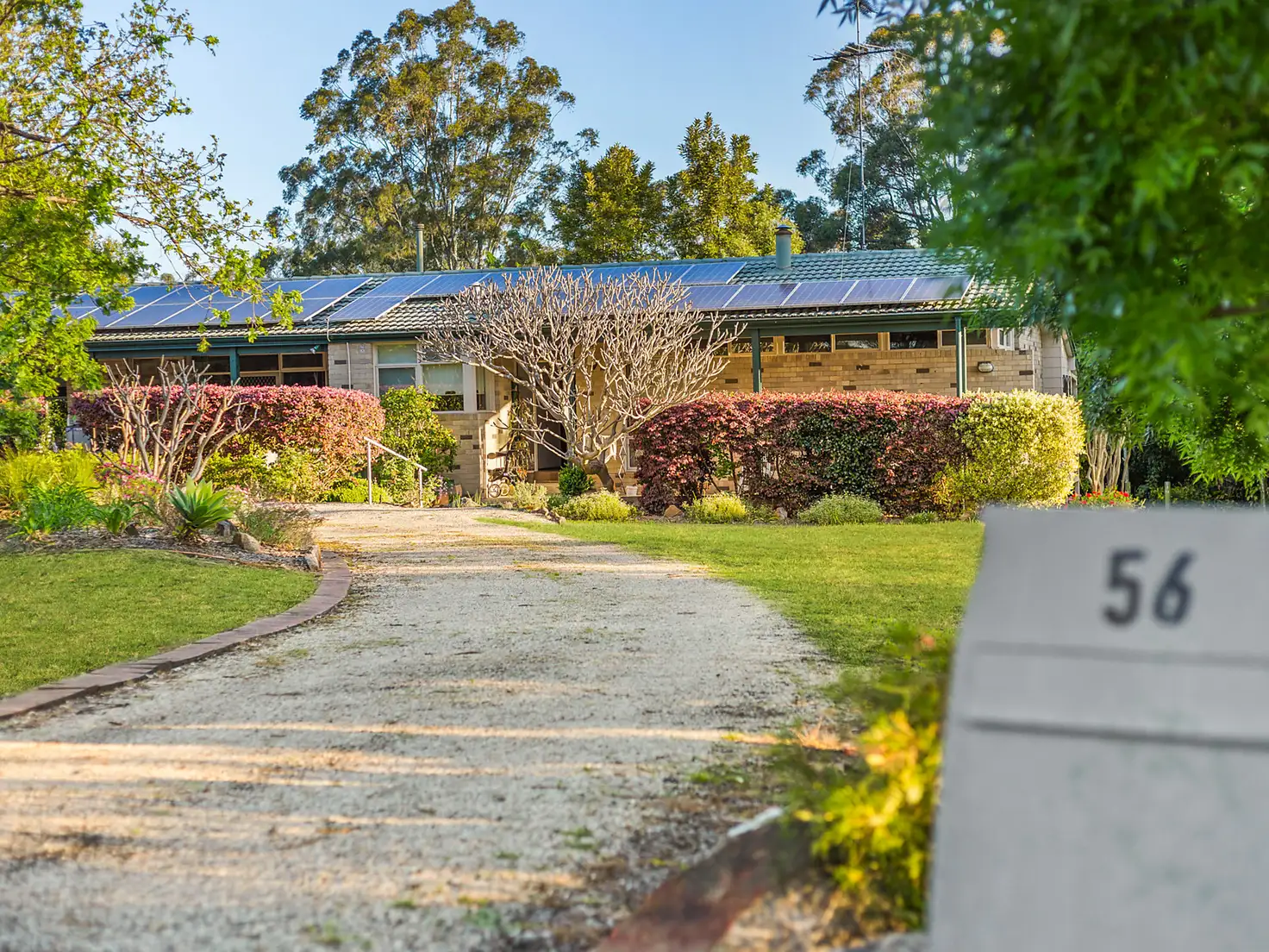 Main view of Homely rural property listing, 56 Jones Road, Kenthurst NSW 2156