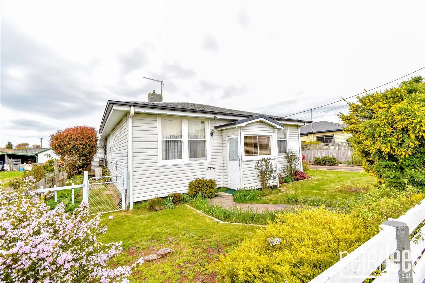 Main view of Homely house listing, 37 Ellenor Street, Scottsdale TAS 7260